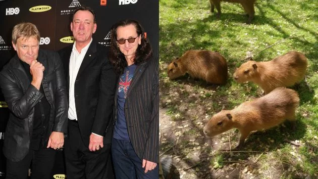 getty_rushcapybaras630_062617