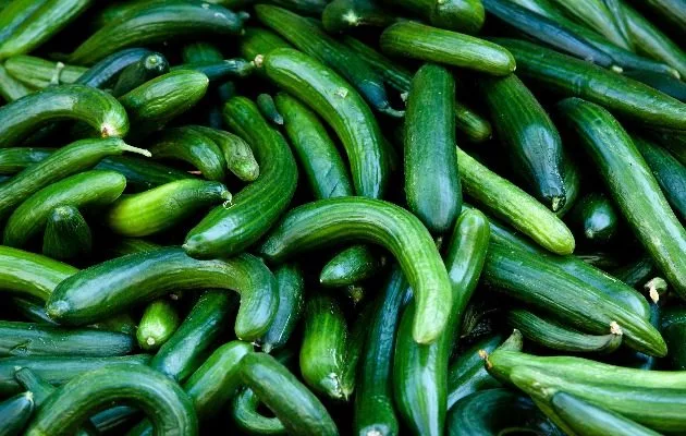 cucumber