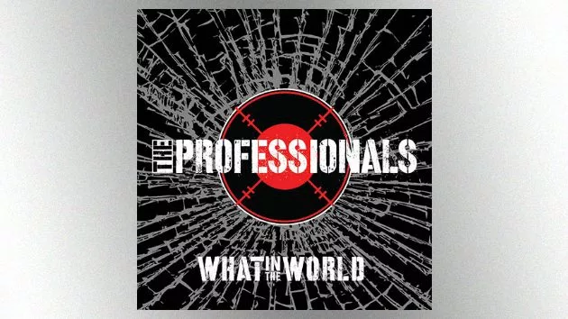 m_theprofessionalswhatintheworld630_092817