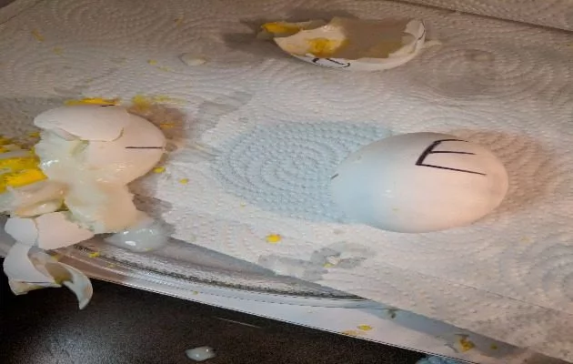 egg