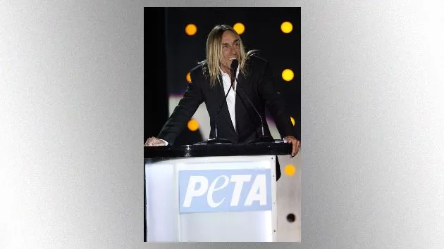 m_iggypeta_91420