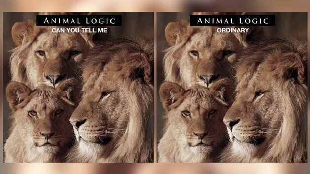 m_animallogicsingles630_102422