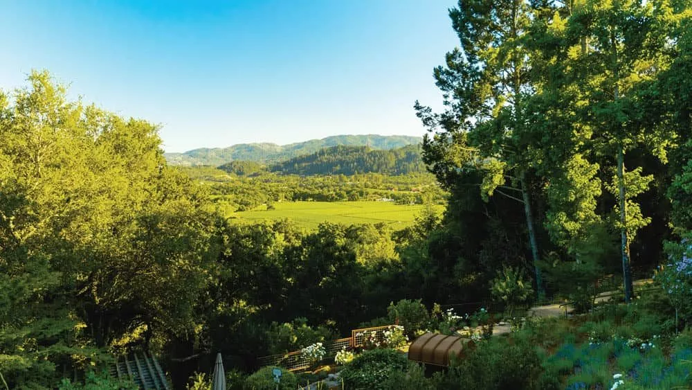 greattastes_rombauer-1000x563182091-1