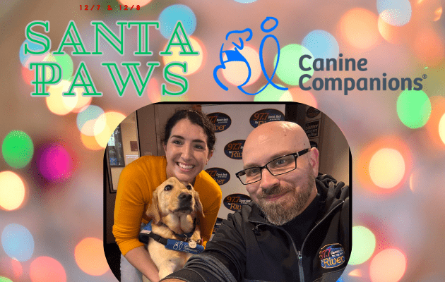 santa-paws-3