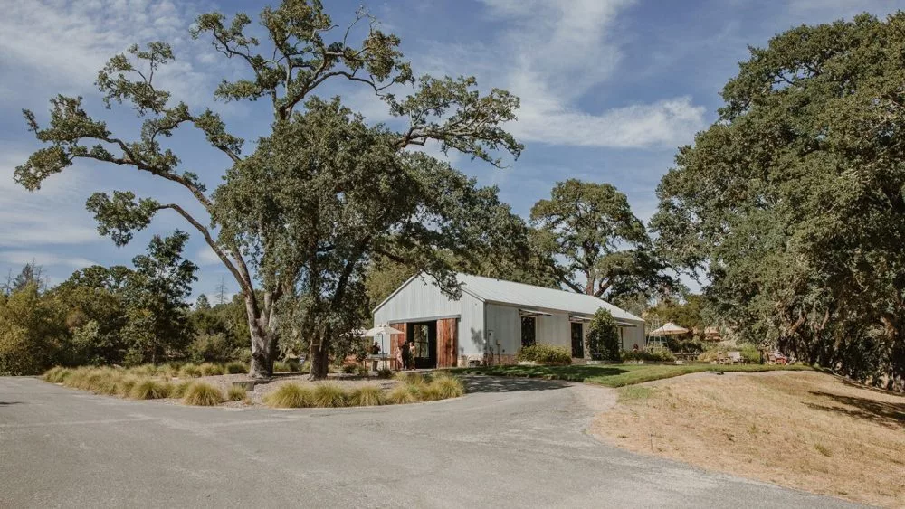 medlock_dinner_reception-2_websize-3-1-1000x56332464-1