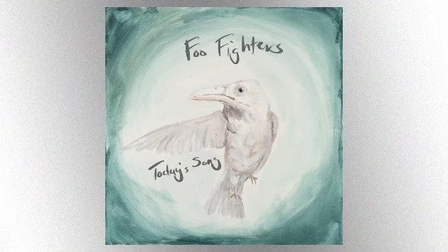 m_foofighters_070225643639