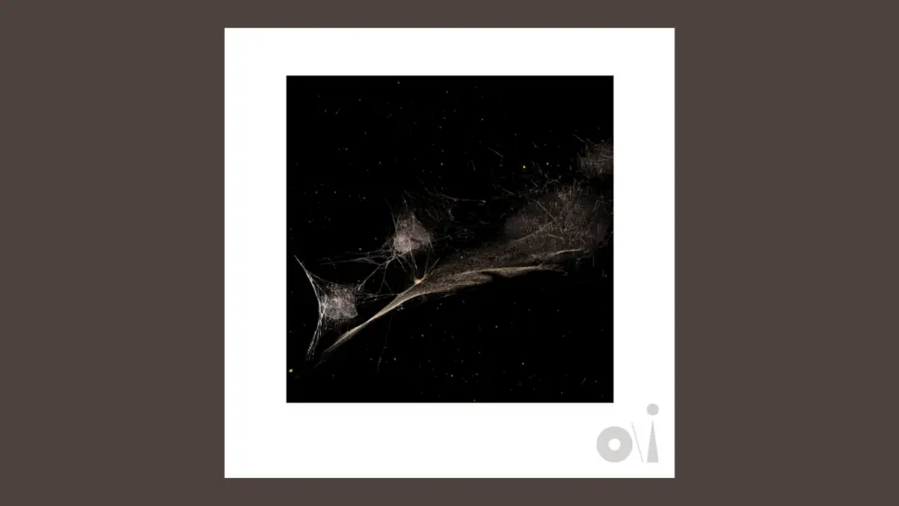 m20_petergabrielbucket_020226969612