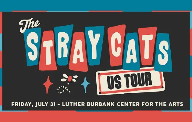 straycatsflipper2026