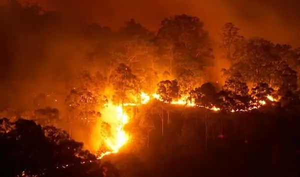istock_031420_wildfire