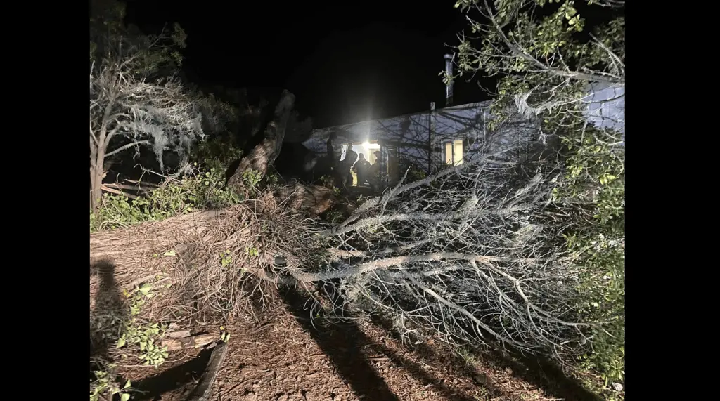 bodega-bay-home-gets-hit-by-falling-tree-sonoma-county-fire-district