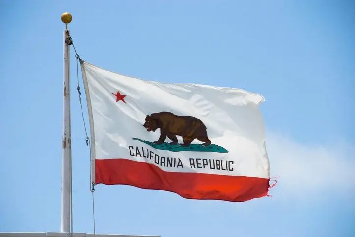 low-angle-view-of-california-flag-against-clear-sky