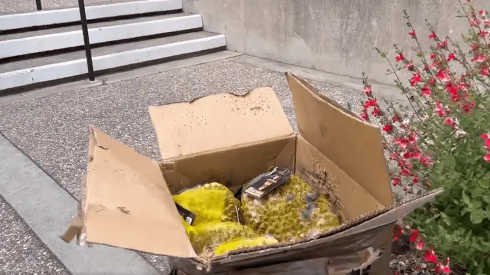rotting-fruit-in-a-box-on-smith-ranch-road-san-rafael-police