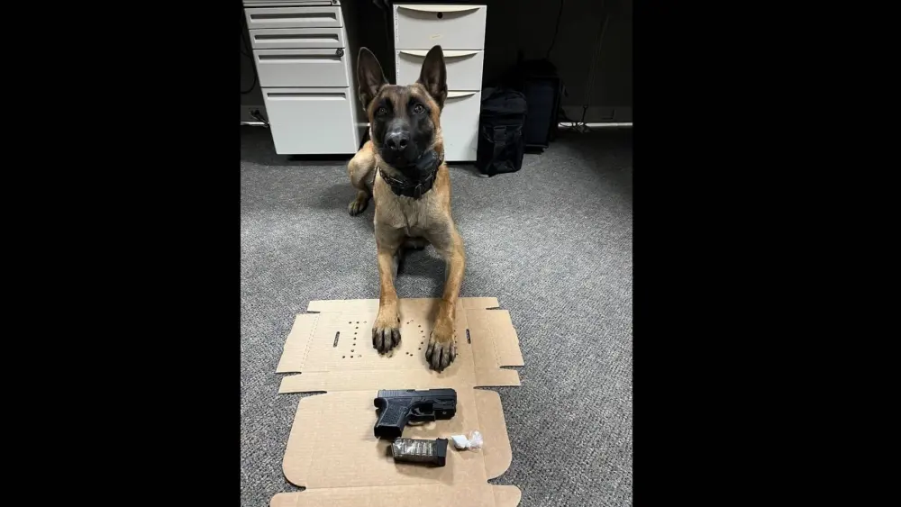 k-9-ghost-posing-with-items-confiscated-from-adrian-valle-santa-rosa