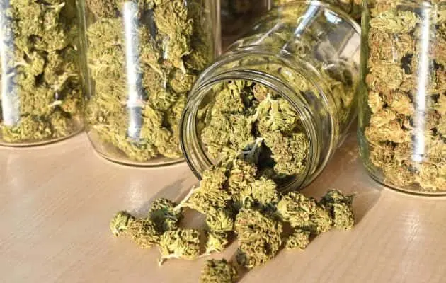 cannabis-stores-in-glass-jar-e1551107951293