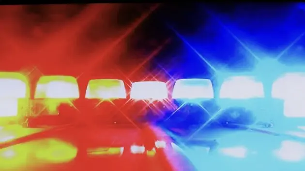 police-pursuit-2