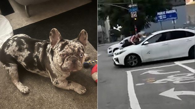 dog-stolen-la-ht-lv-240204-2_1707084406133_hpmain_16x9874809