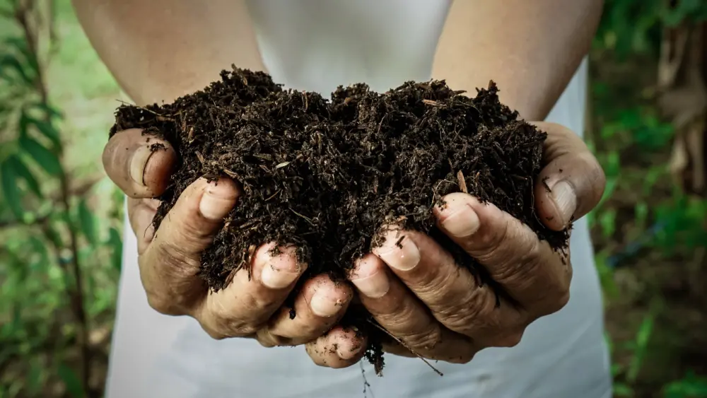 farmerholdingpileofarablesoil-maleagronomistexaminingquality