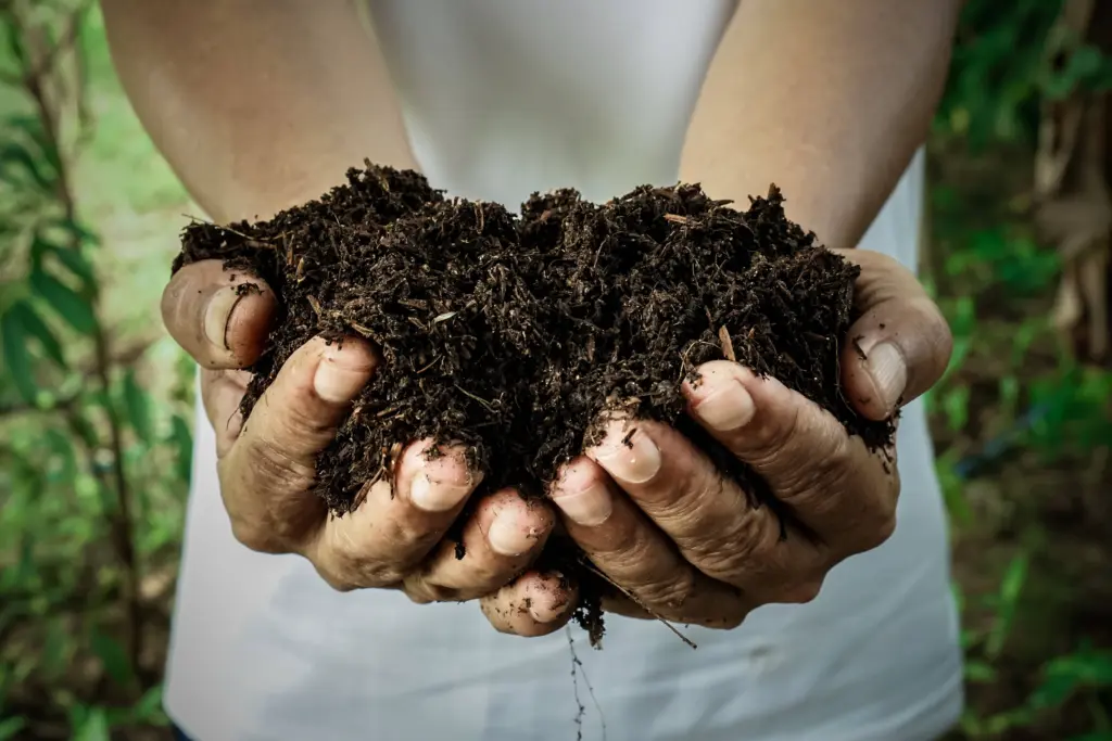 farmerholdingpileofarablesoil-maleagronomistexaminingquality