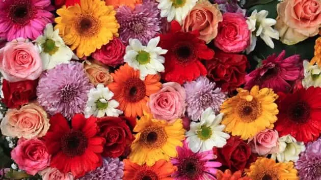 colorful-wedding-flower-arrangement