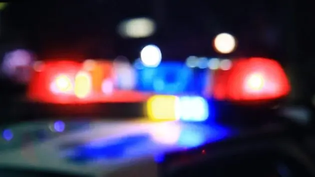 police-car-23