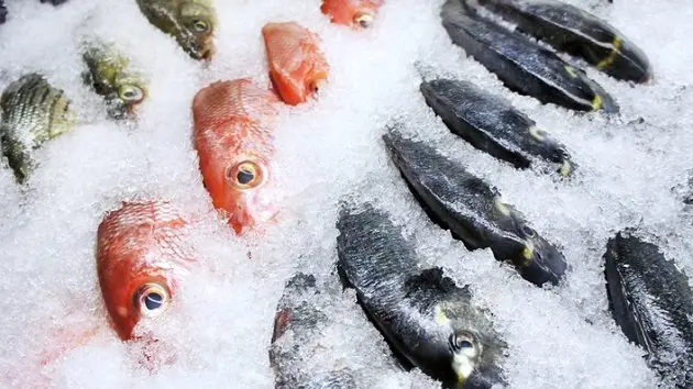 fish-on-ice