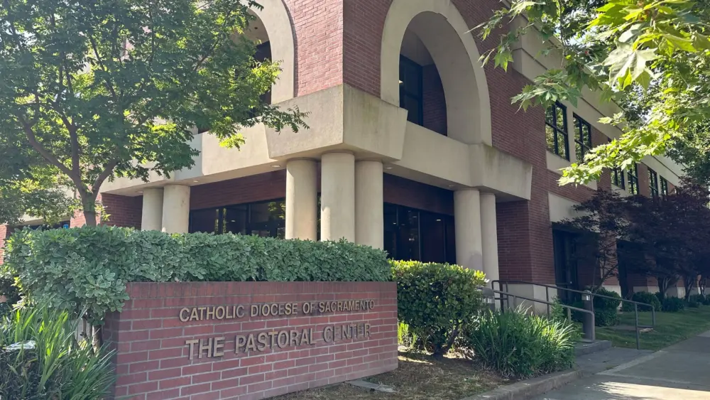 immigration-migrant-flights