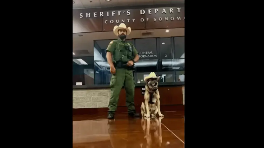 k-9-bruno-and-deputy-hector-campos-sonoma-sheriff