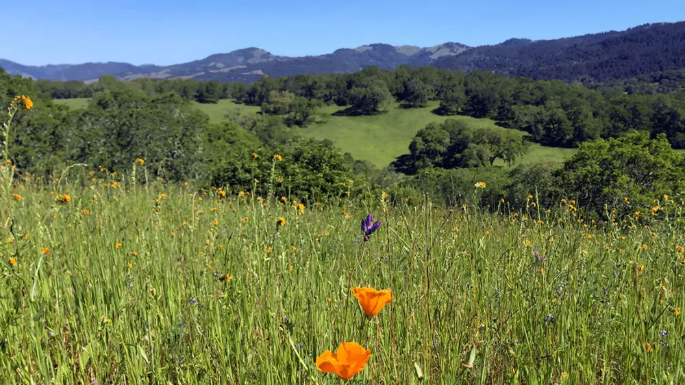 sonoma-valley-regional-park-sonoma-county-regional-parks