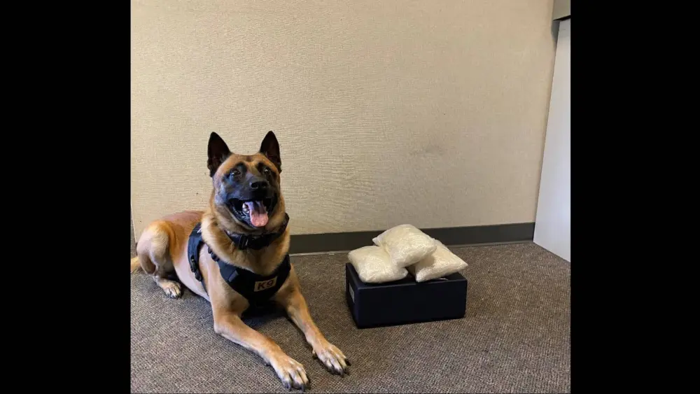 enzo-the-police-dog-next-to-confiscated-meth-santa-rosa-police