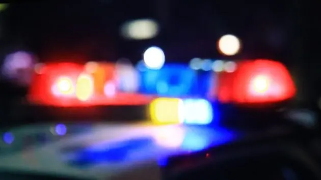 police-car-14