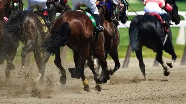 horse-racing-down-the-stretch-they-come