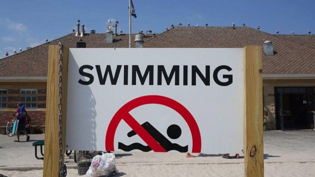 rockaway-beach-shark-gty-lv-230708-2_1691452932869_hpembed_3x2_992234260