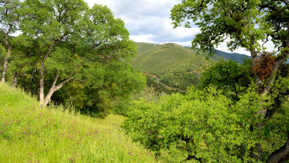sugarloaf-ridge-state-park