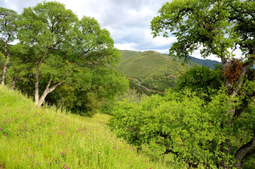 sugarloaf-ridge-state-park