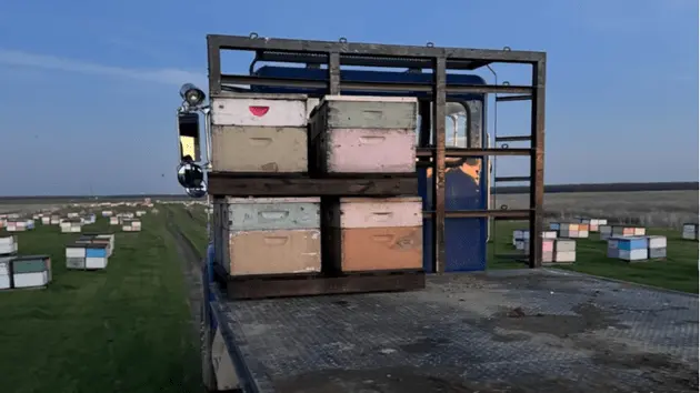 fresnocountysd_stolenbeehives_020824992035