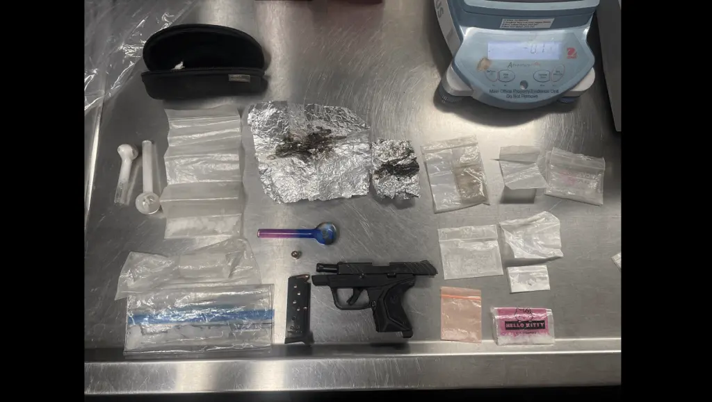 items-confiscated-from-joseph-mcbeth-and-krista-kresge-sonoma-sheriff