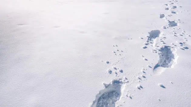 gettyrf_123022_snowfootprints345728282