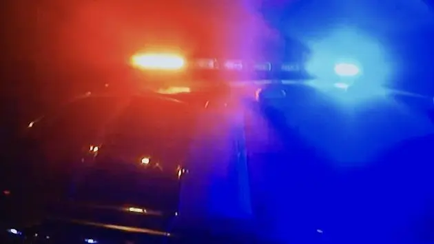 police-patrol-lights-on-car-roof-2
