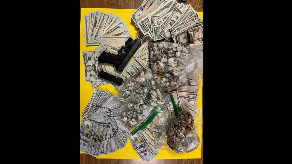items-confiscated-from-zachary-bedoya-santa-rosa-police