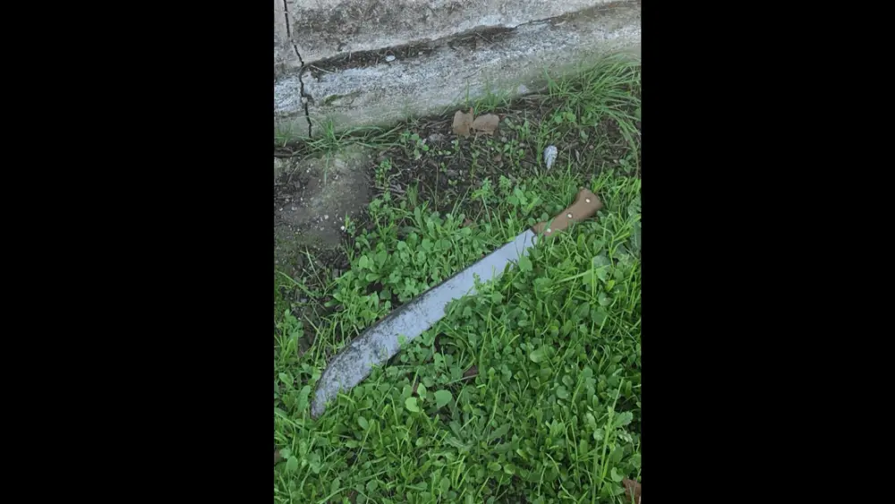 machete-found-in-santa-rosa-connected-to-attack-on-santa-rosa-avenue-1-9-24-santa-rosa-police