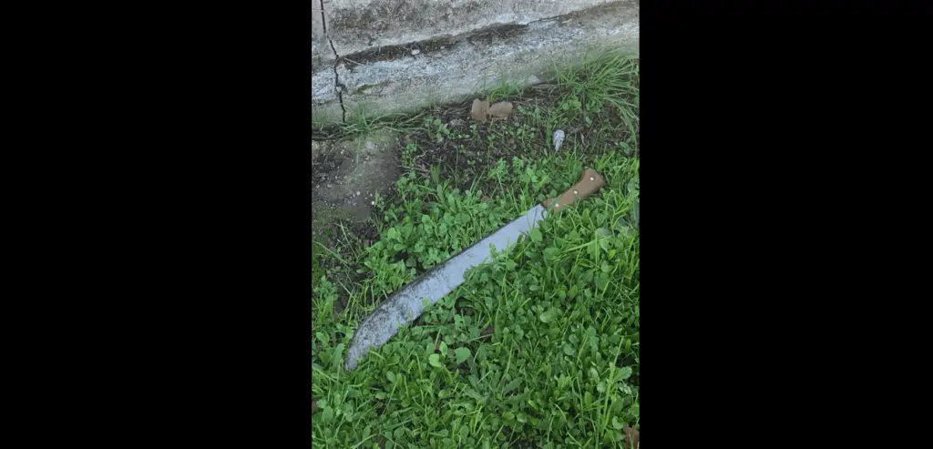 machete-found-in-santa-rosa-connected-to-attack-on-santa-rosa-avenue-1-9-24-santa-rosa-police