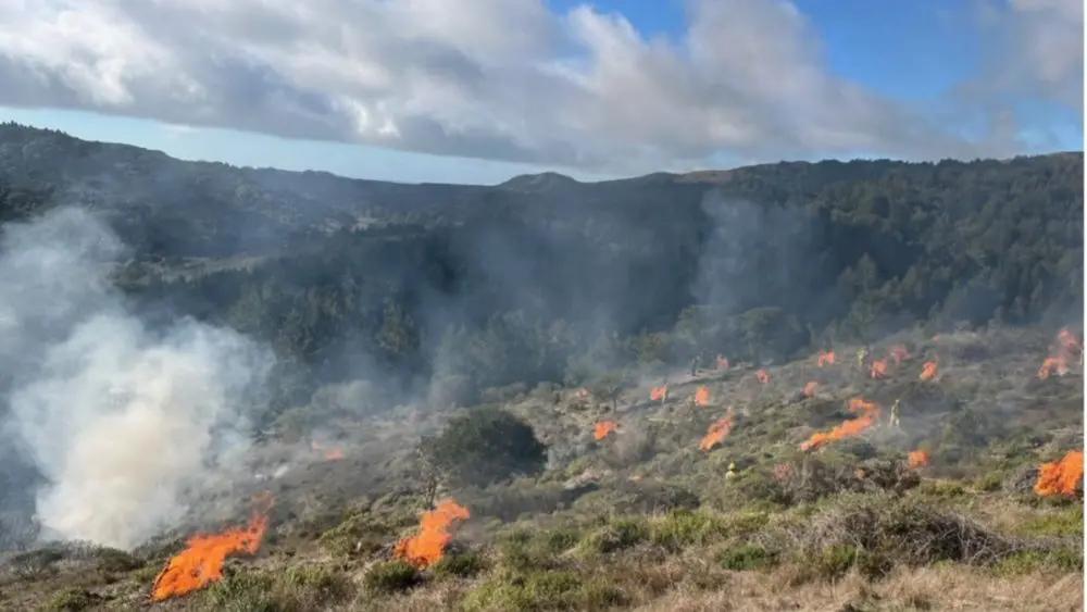 getfileattachment-1-1000x563694499-1