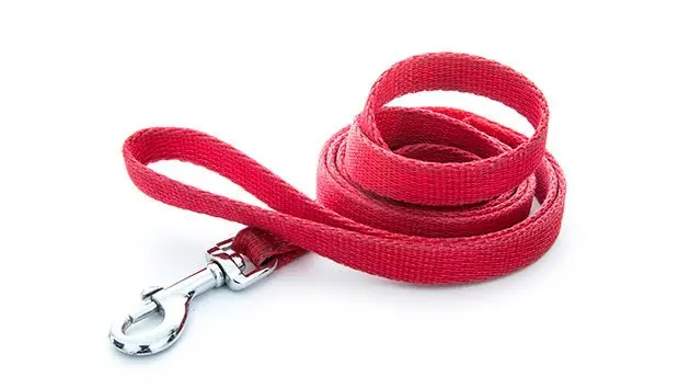 thinkstock_030417_leash