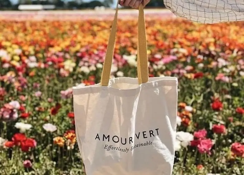 amour-vert-2845726