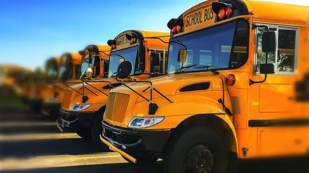 row-of-yellow-school-buses-parked-with-blue-sky-in-background