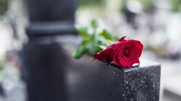 istock_81619_funeralrose