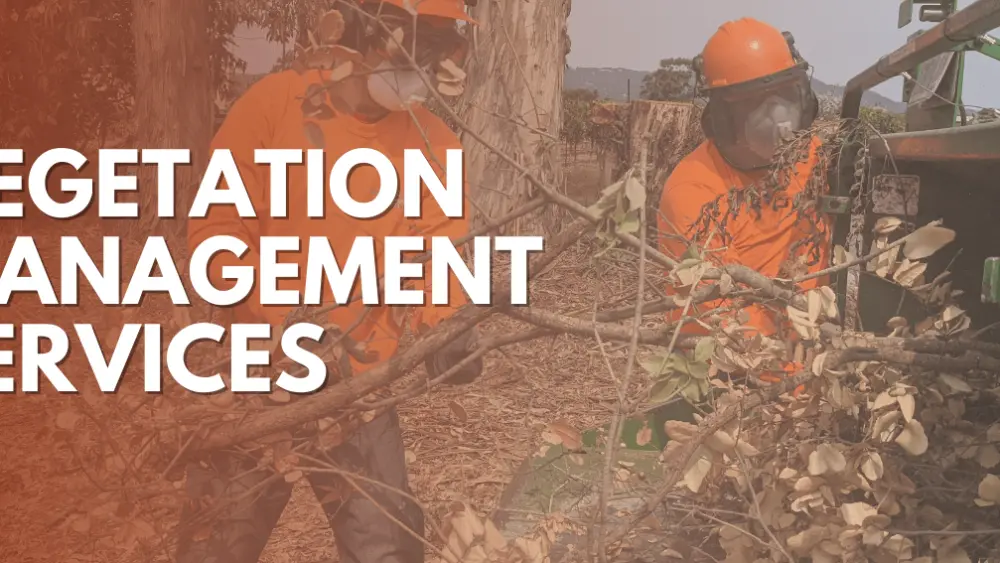 vegetation-management-services-graphic-permit-sonoma