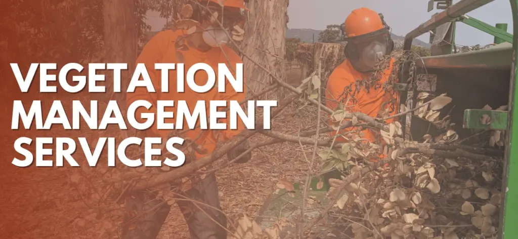 vegetation-management-services-graphic-permit-sonoma