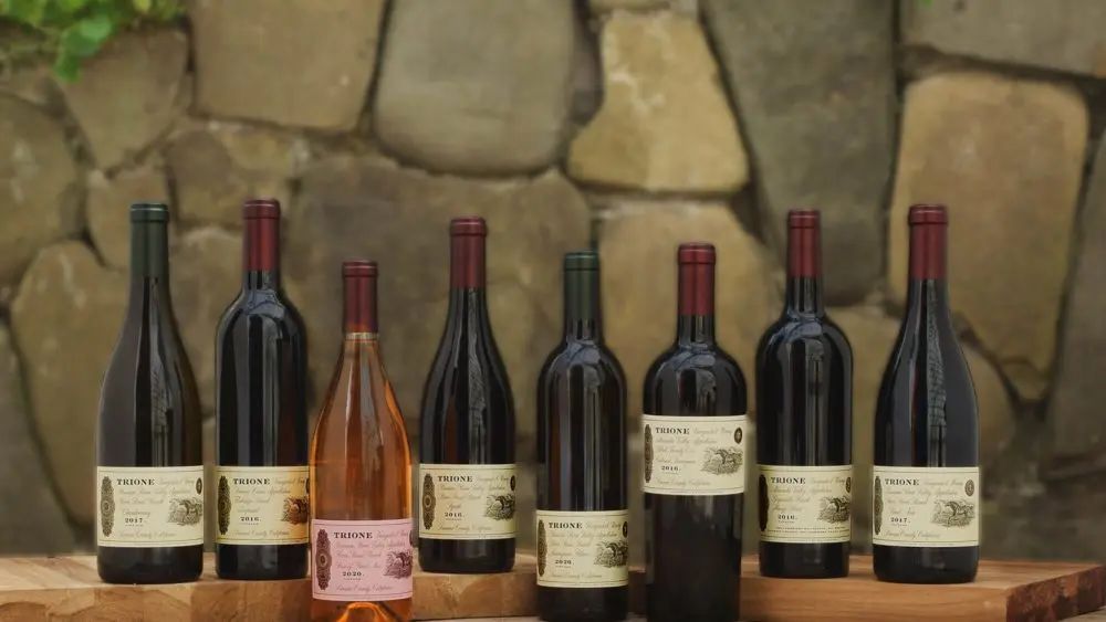 trione-wines-1000x563653251-1