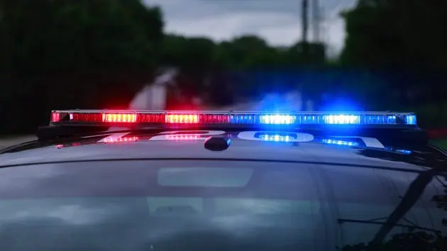 police-car-lights-5